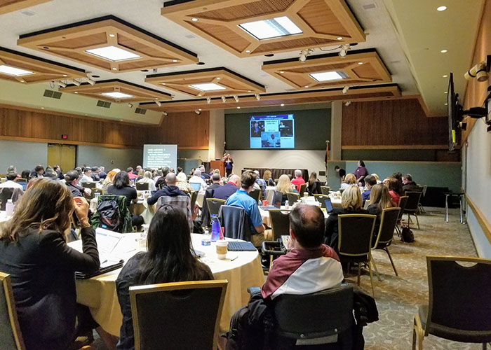 Dr. Nanette Odell leading a presentation at an ADA conference