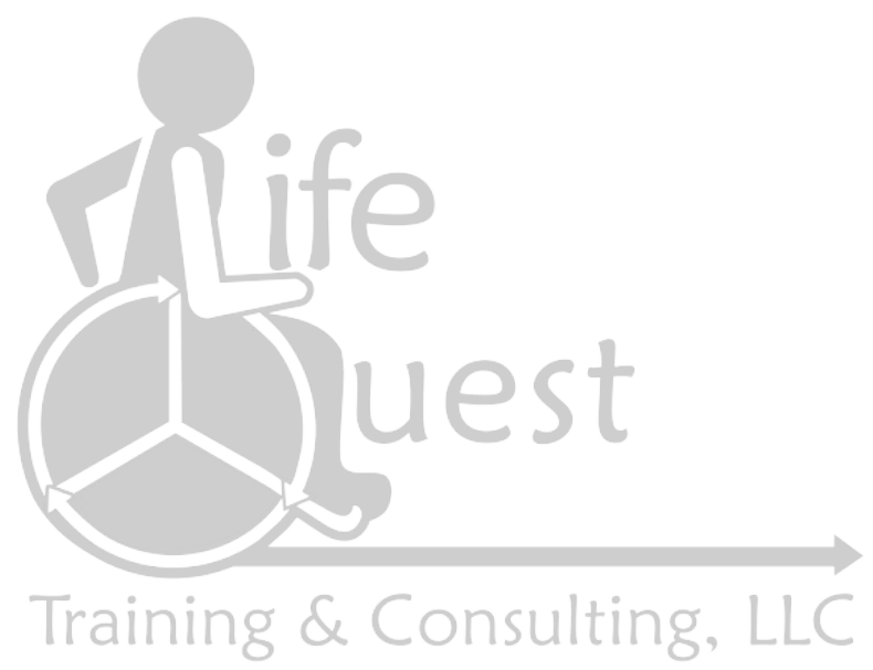 Life Quest logo light grey
