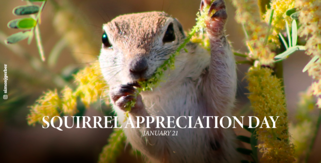 2024/05 – AZ State Parks Trails Plan